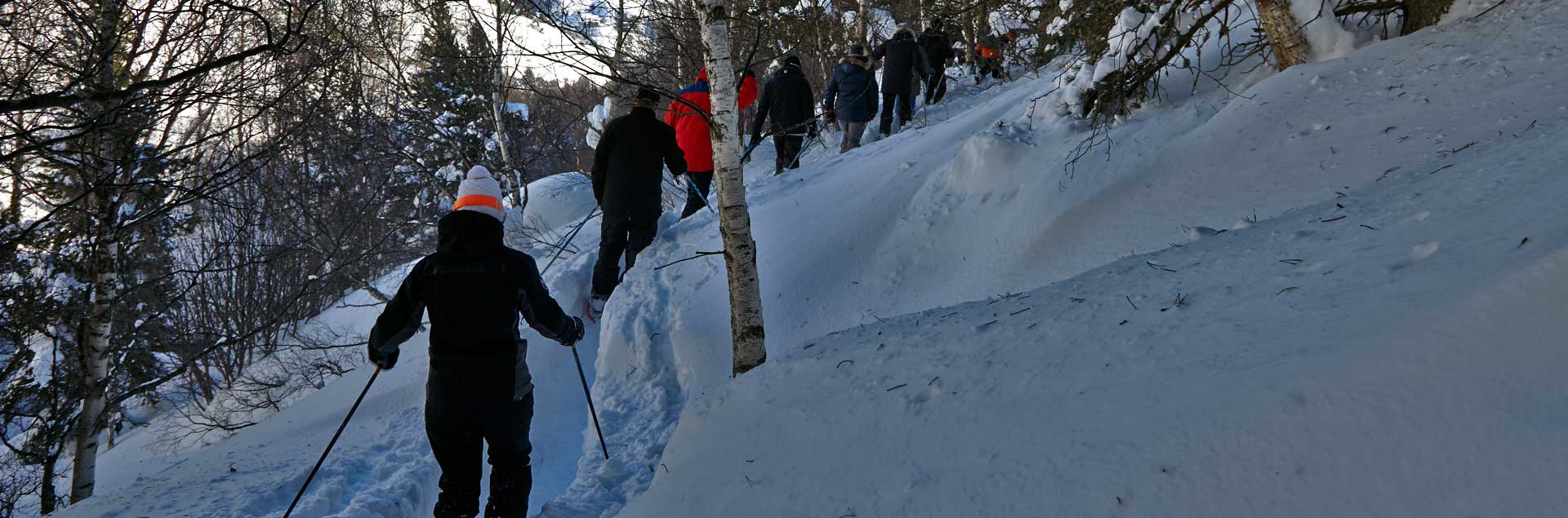 hotel a soldeu amb excursions amb raquetes de neu